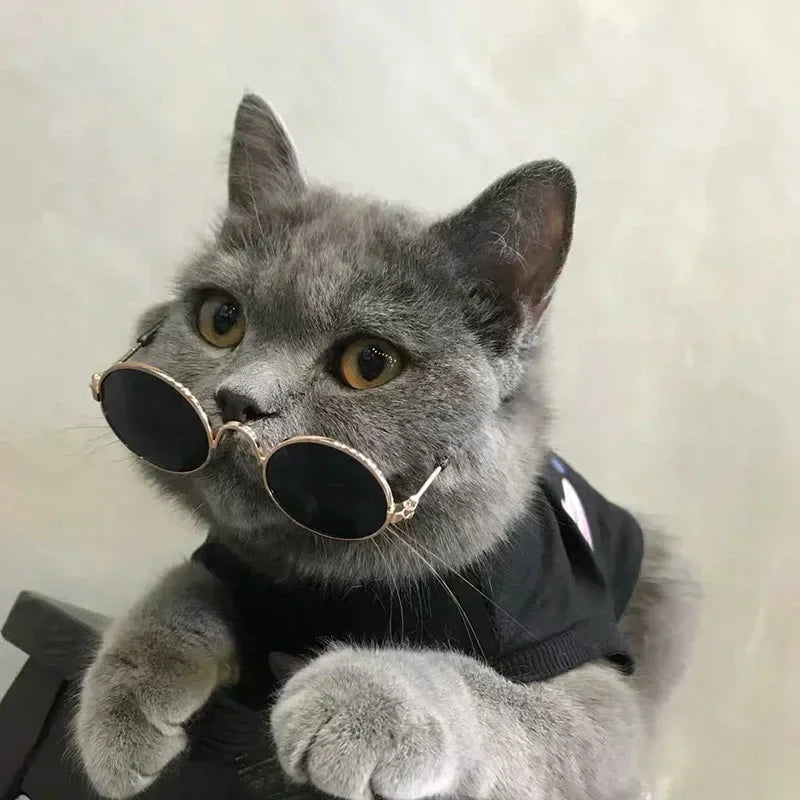 Cat Sunglasses Summer Outdoor Puppy UV Protection Sunglasses Dolls Sun Glasses Small Dog Cosplay Photo Props Cute Pet Sunglasses