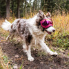 ATUBAN Dog Goggles Anti UV Strong Impact Resistance Adjustable Elastic Puppy Large Breed Dog Goggles Breathable Pet Sunglasses