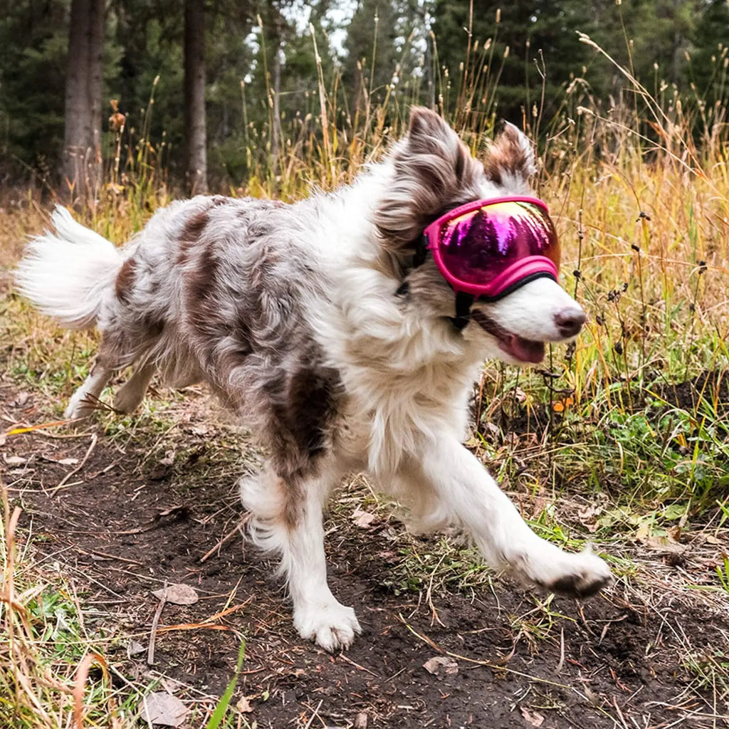 ATUBAN Dog Goggles Anti UV Strong Impact Resistance Adjustable Elastic Puppy Large Breed Dog Goggles Breathable Pet Sunglasses