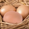 6/12Pcs Plastic Eggs Chicken House Small Fake Eggs Farm Animal Supplies Cages Accessories Guide Chicken Nest Egg Painting