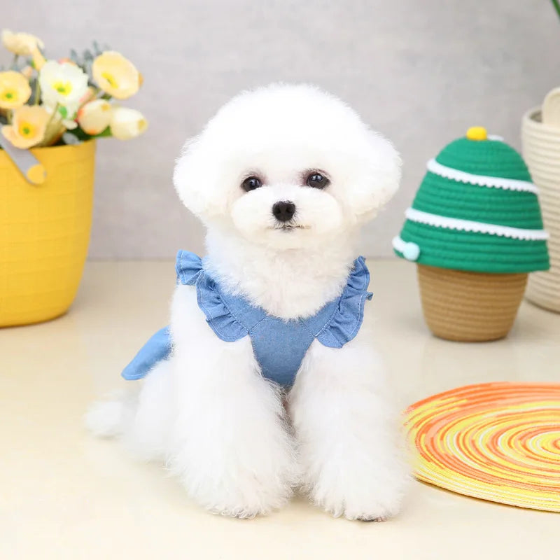 Spring Summer Dog Dress for Small Kitten Dogs Clothes Puppy Letters Embroidered Jean Strap Dresses Chihuahua Skirts Pet Costumes