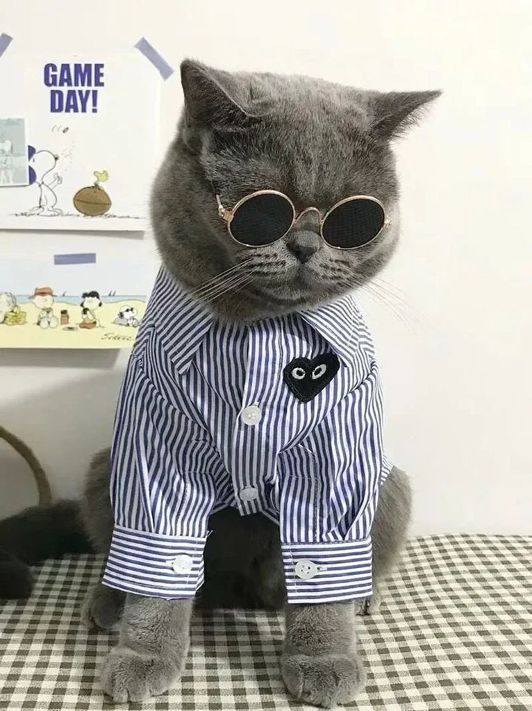 Cat Sunglasses Summer Outdoor Puppy UV Protection Sunglasses Dolls Sun Glasses Small Dog Cosplay Photo Props Cute Pet Sunglasses