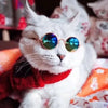 Cat Sunglasses Summer Outdoor Puppy UV Protection Sunglasses Dolls Sun Glasses Small Dog Cosplay Photo Props Cute Pet Sunglasses