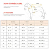 Dog Life Vest Jacket Reflective Summer Pet Clothes Puppy Swimwear Dog Life Jacket Safety Swimming Suit Dog Supplies