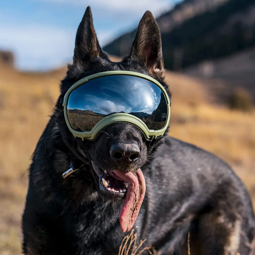 ATUBAN Dog Goggles Anti UV Strong Impact Resistance Adjustable Elastic Puppy Large Breed Dog Goggles Breathable Pet Sunglasses