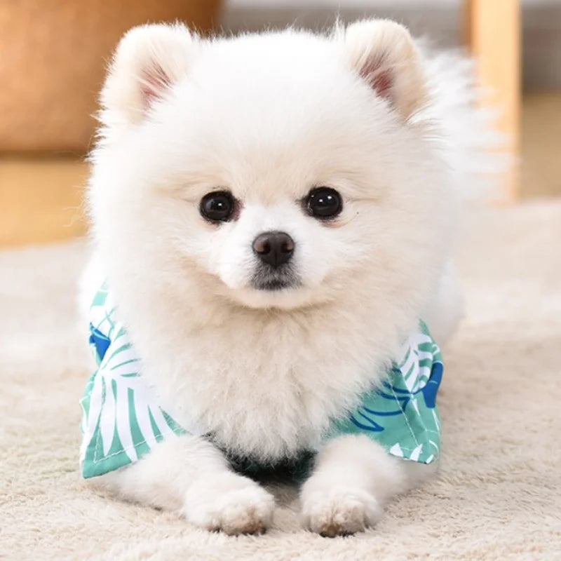Summer Pet Clothes Hawaiian Style Pet Beach Dog Shirts Fashion Puppy Vest Coconut Print Cat Shirt Chihuahua Yorkies Pet Clothes