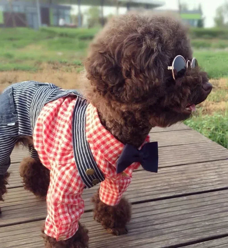 Cat Sunglasses Summer Outdoor Puppy UV Protection Sunglasses Dolls Sun Glasses Small Dog Cosplay Photo Props Cute Pet Sunglasses