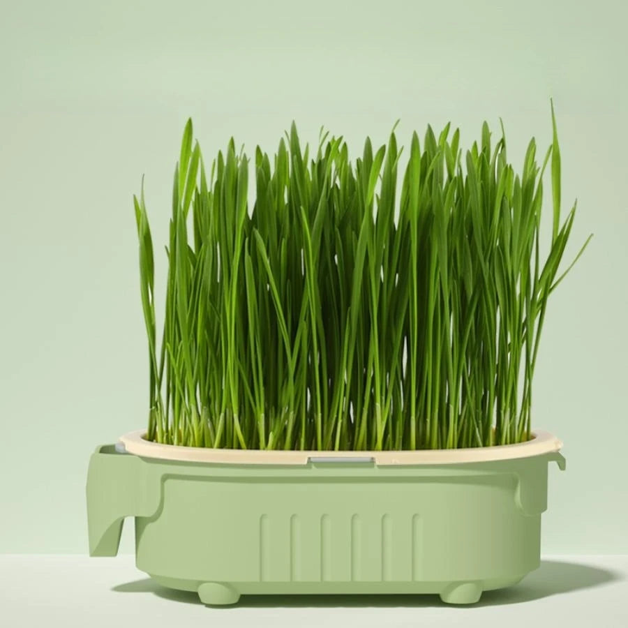 Good Quality Soilless hydroponic growing cup Lazy planting cup Hydroponic cultivation