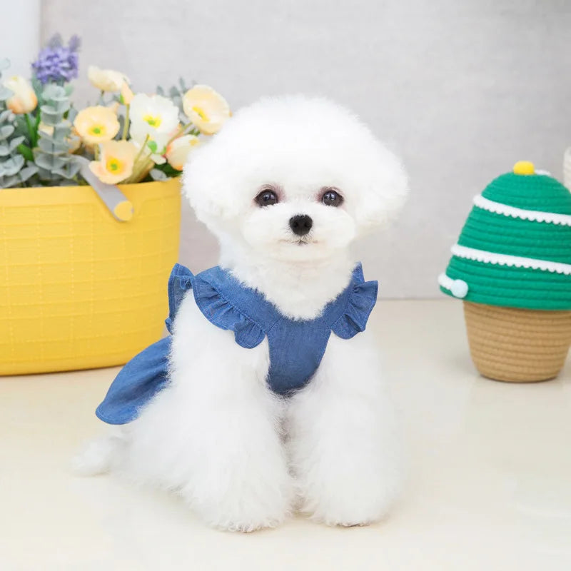 Spring Summer Dog Dress for Small Kitten Dogs Clothes Puppy Letters Embroidered Jean Strap Dresses Chihuahua Skirts Pet Costumes