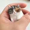 Cute Wool Needle Felting Kit Non-Finished Cat Handmade Wool Felting Material Package Doll Toy DIY Gift Needle Felting Tool Kit