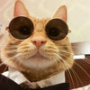 Cat Sunglasses Summer Outdoor Puppy UV Protection Sunglasses Dolls Sun Glasses Small Dog Cosplay Photo Props Cute Pet Sunglasses
