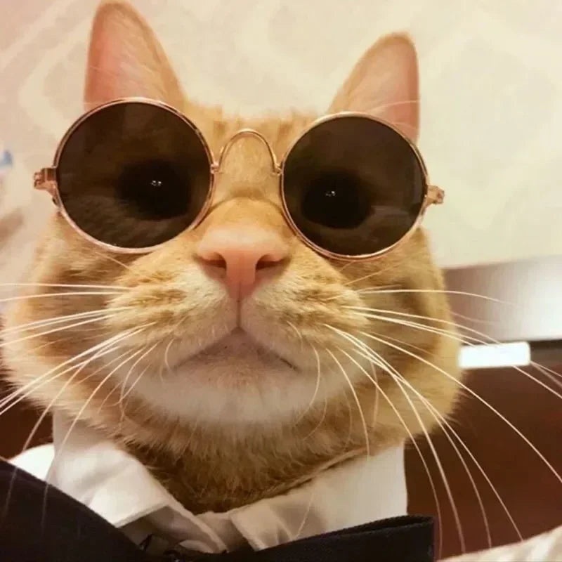 Cat Sunglasses Summer Outdoor Puppy UV Protection Sunglasses Dolls Sun Glasses Small Dog Cosplay Photo Props Cute Pet Sunglasses