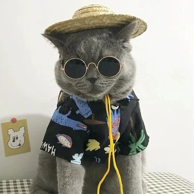 Cat Sunglasses Summer Outdoor Puppy UV Protection Sunglasses Dolls Sun Glasses Small Dog Cosplay Photo Props Cute Pet Sunglasses