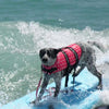 Dog Life Vest Jacket Reflective Summer Pet Clothes Puppy Swimwear Dog Life Jacket Safety Swimming Suit Dog Supplies