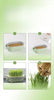 Good Quality Soilless hydroponic growing cup Lazy planting cup Hydroponic cultivation