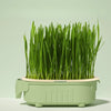 Good Quality Soilless hydroponic growing cup Lazy planting cup Hydroponic cultivation