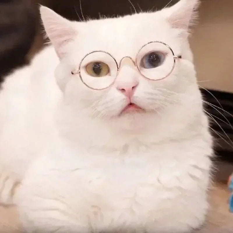 Cat Sunglasses Summer Outdoor Puppy UV Protection Sunglasses Dolls Sun Glasses Small Dog Cosplay Photo Props Cute Pet Sunglasses
