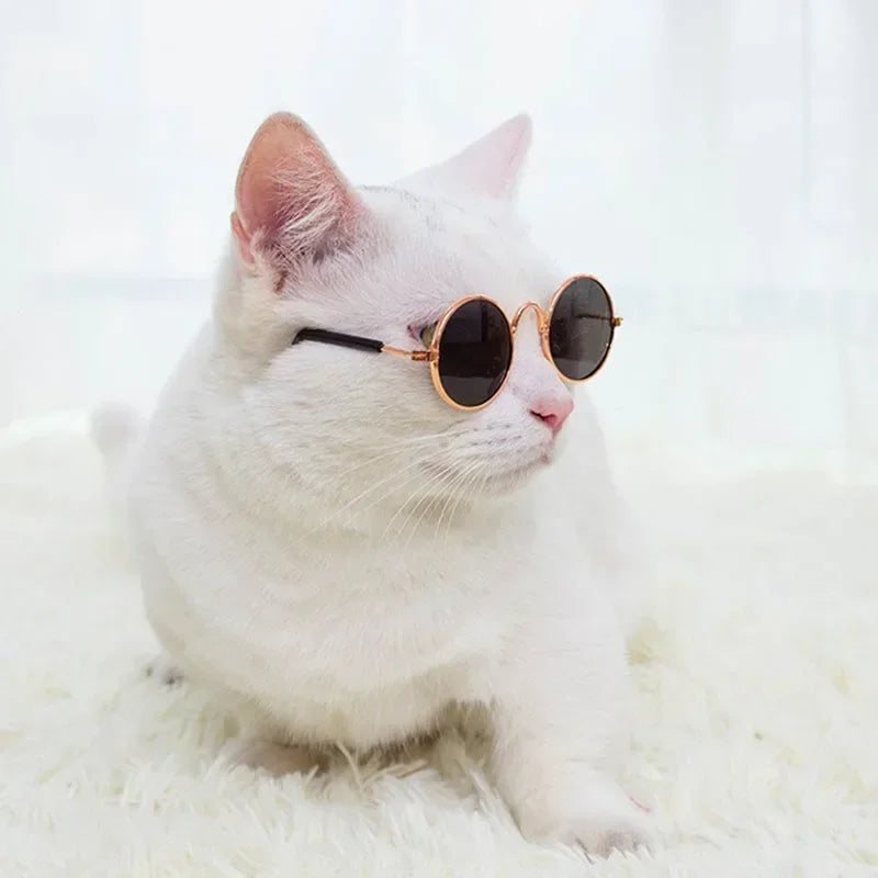 Cat Sunglasses Summer Outdoor Puppy UV Protection Sunglasses Dolls Sun Glasses Small Dog Cosplay Photo Props Cute Pet Sunglasses