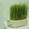 Good Quality Soilless hydroponic growing cup Lazy planting cup Hydroponic cultivation