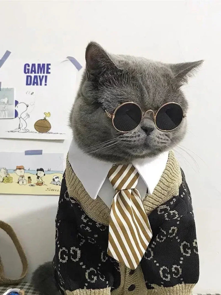 Cat Sunglasses Summer Outdoor Puppy UV Protection Sunglasses Dolls Sun Glasses Small Dog Cosplay Photo Props Cute Pet Sunglasses