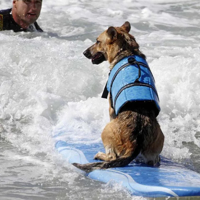 Dog Life Vest Jacket Reflective Summer Pet Clothes Puppy Swimwear Dog Life Jacket Safety Swimming Suit Dog Supplies
