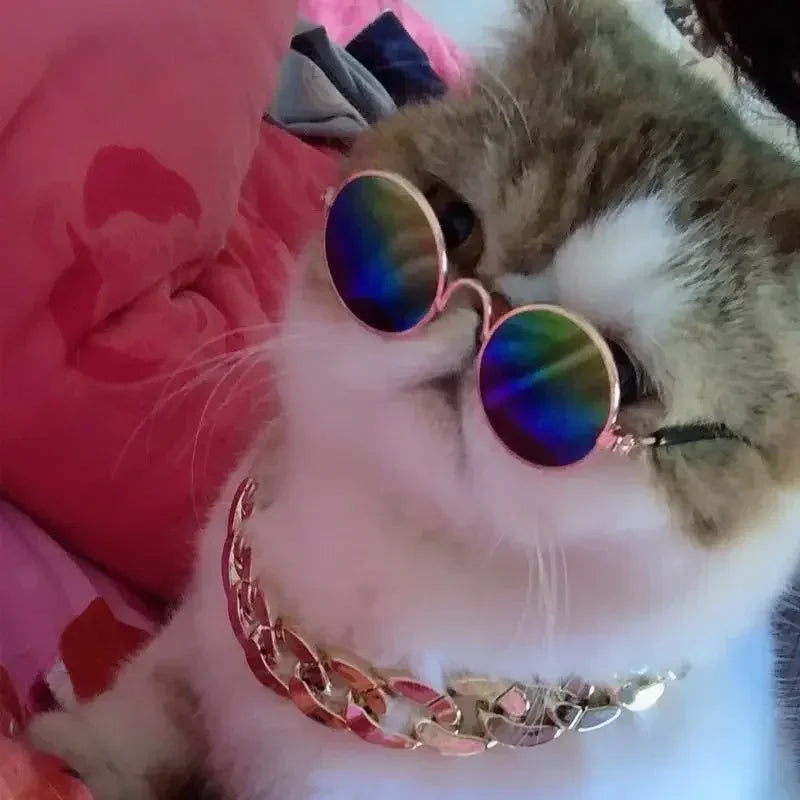 Cat Sunglasses Summer Outdoor Puppy UV Protection Sunglasses Dolls Sun Glasses Small Dog Cosplay Photo Props Cute Pet Sunglasses
