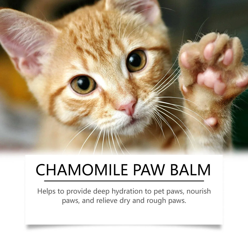 Natural Dog Paw Balm Dog Protections For Hot Pavement Dog Wax For Dry Paws & Nose Moisturizer For Cracked Paw