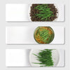 Good Quality Soilless hydroponic growing cup Lazy planting cup Hydroponic cultivation