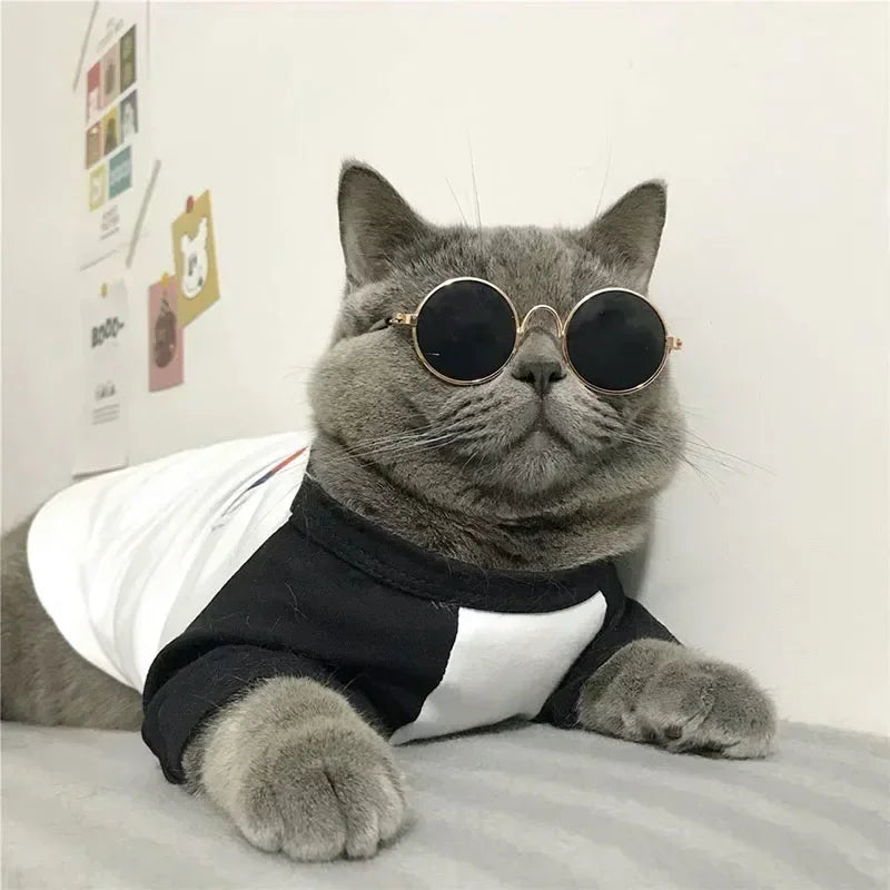 Cat Sunglasses Summer Outdoor Puppy UV Protection Sunglasses Dolls Sun Glasses Small Dog Cosplay Photo Props Cute Pet Sunglasses