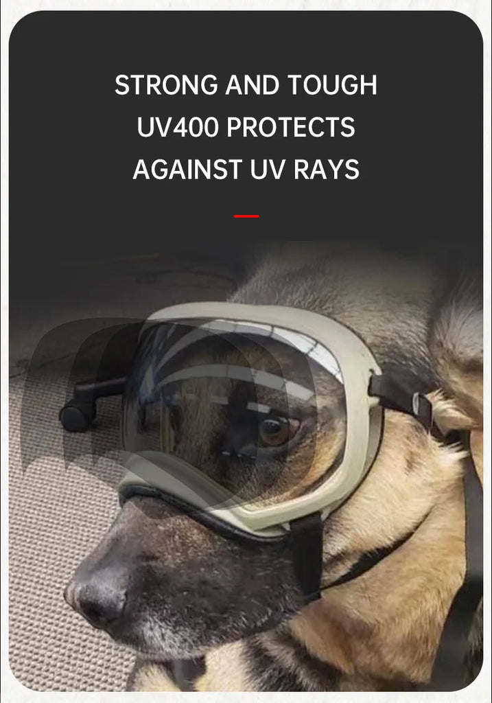 Color changing pet glasses, dog goggles, size dog sunglasses, snow glasses, UV resistant dog sunglasses
