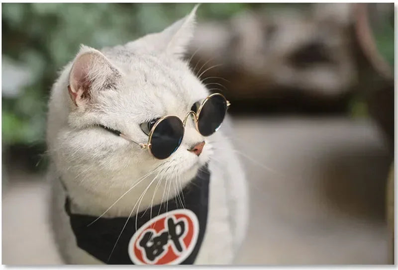 Cat Sunglasses Summer Outdoor Puppy UV Protection Sunglasses Dolls Sun Glasses Small Dog Cosplay Photo Props Cute Pet Sunglasses