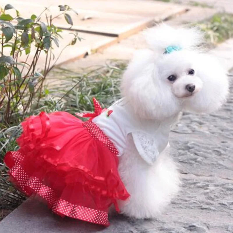 Cute Dog Clothes for Small Dogs Wedding Dress Skirt Summer Luxury Princess Pet Clothes Fruit Design 11AY22QS2